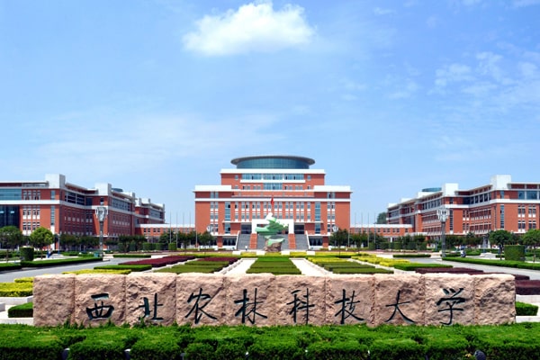 1640931820145848.jpg 西北農林-min.jpg